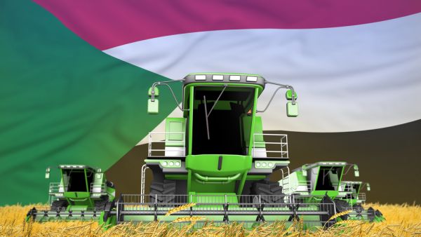 تأمل الحكومة السودانية في الاكتفاء الذاتي، بزيادة الإنتاج المحلي، وخفض فاتورة استيراد القمح من الخارج، التي تكلف البلاد حوالي مليار دولار سنويا