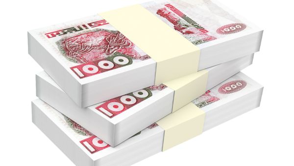 الشركات الحكومية تشهد تراجعاً في نشاطها