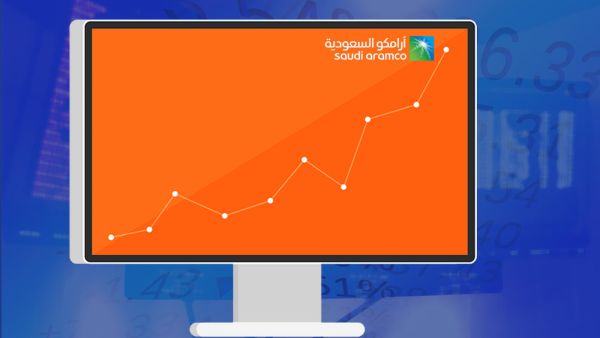 يعتبر اكتتاب أرامكو السعودية خطوة مهمة للمملكة نحو التحرر من الاعتماد على إيرادات النفط والتوجه نحو التنوع الاقتصادي