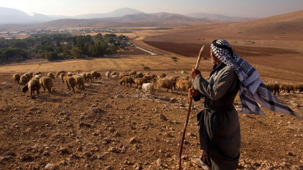 Bedouin looks out over historic Jordan Valley /AFP