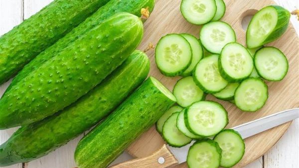 تفسير رؤية الخيار في المنام للعزباء وللمتزوجة وللمطلقة تفسير رؤية الخيار في المنام للعزباء وللمتزوجة وللمطلقة