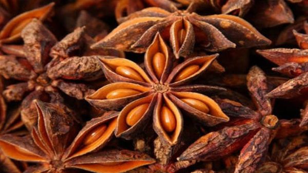 فوائد اليانسون النجمي