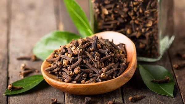 وصفة القرنفل للحمل بعد الدورة: خلطات مجربة وسريعة وصفة القرنفل للحمل بعد الدورة: خلطات مجربة وسريعة