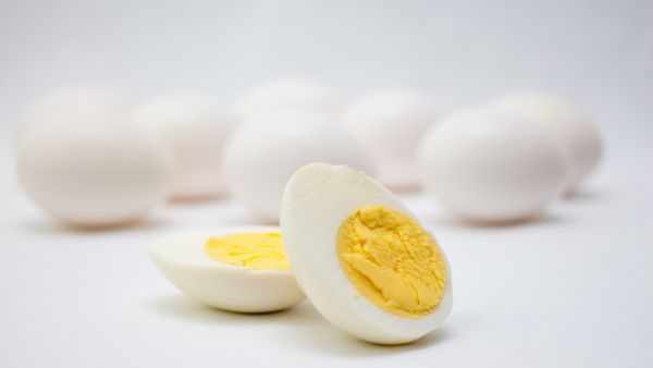 يساعد تناول بياض البيض في تحفيز ردات الفعل التحسسية 