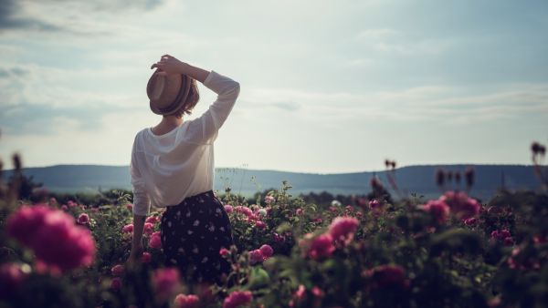 توقعات الأبراج