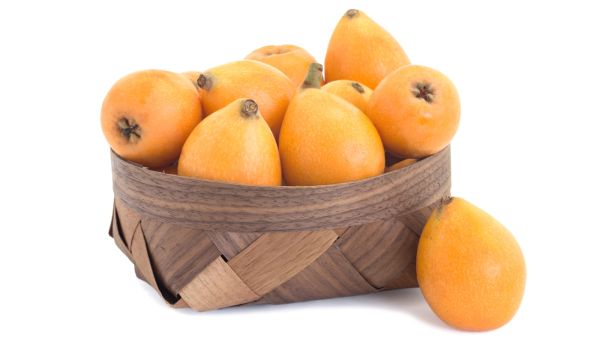 الأسكدنيا تعالج السكّر في الدّم عن طريق زيادة نسبة الإنسولين
