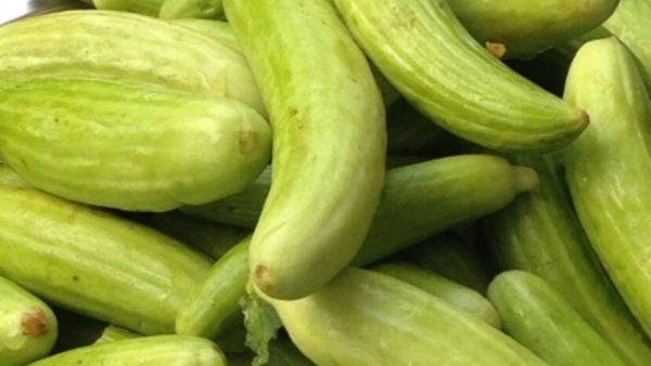 يحافظ الفقوس على صحّة الكبد وينشط وظائفه ويحفزها
