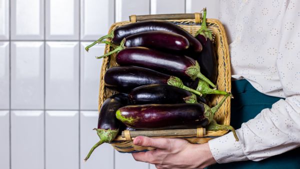 فوائد الباذنجان للرجال