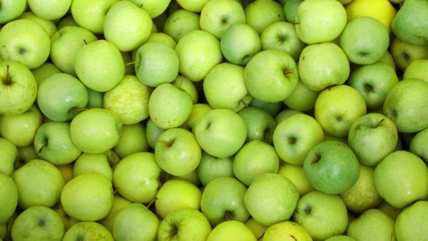 فوائد التفاح الأخضر فوائد التفاح الأخضر