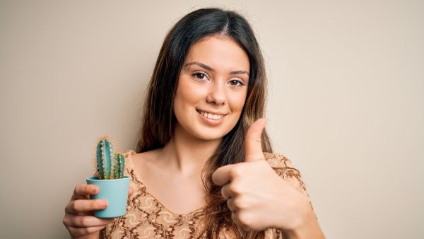 الصبار ينمو في المناطق القاحلة، وتعود أصوله إلى المكسيك فوائد الصبار الصحية والجمالية
