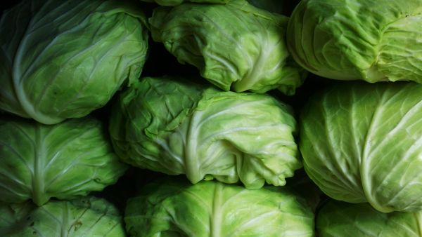 فوائد الملفوف للكلى