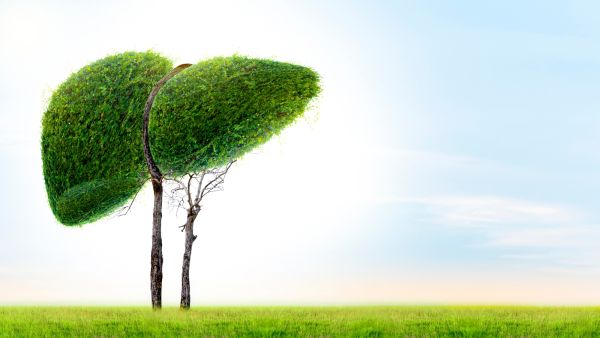 نصائح للمحافظة على صحة الكبد