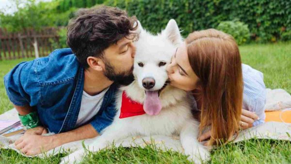 تفضل 50 % من مالكات الكلاب الأليفة قضاء الوقت مع الكلب أكثر من شركائهن