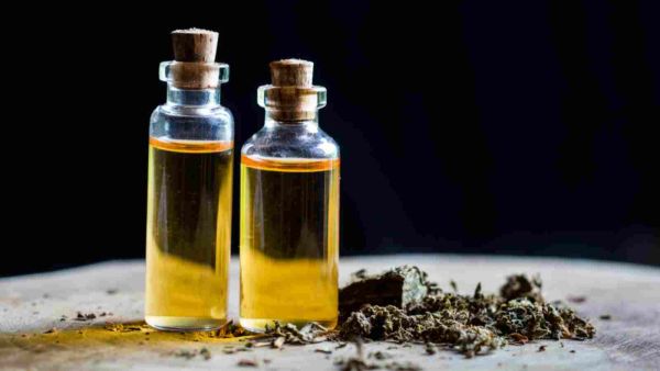 زيت الحية يعطي الشعر نضارة وحيوية طوال اليوم