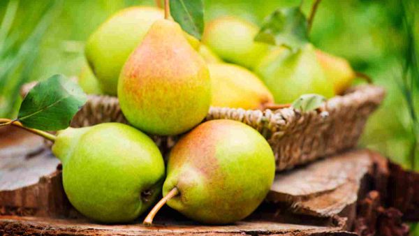 فاكهة الإجاص أكثر الفواكه احتواءً على الألياف الغذائية وخصوصاً الذائبة منها
