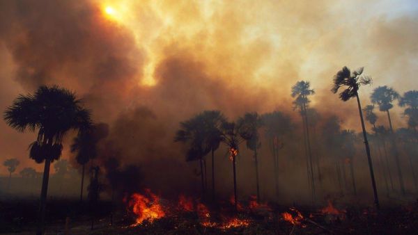  الحرائق في غابات الأمازون سجلت مستوى قياسيا هذا العام