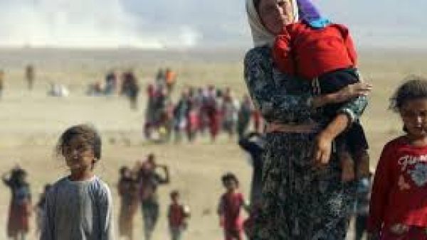 اعتبار الثالث من أغسطس يوما لإحياء ذكرى إبادة الإيزيديين