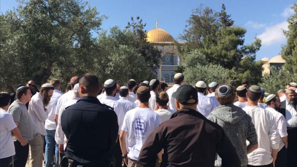 170 متطرفا، اقتحموا المسجد الأقصى المبارك صباح الاحد