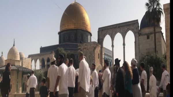 مستوطنون في ساحات المسجد الأقصى