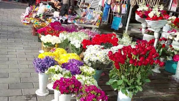 محل ورد في اسطنبول