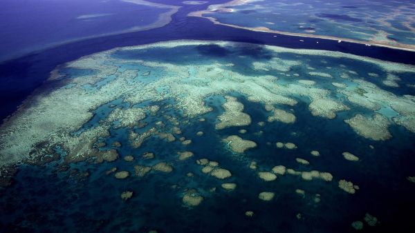 اكتشاف شعاب مرجانية ضخمة في أستراليا بطول  ١٦٠٠ قدم