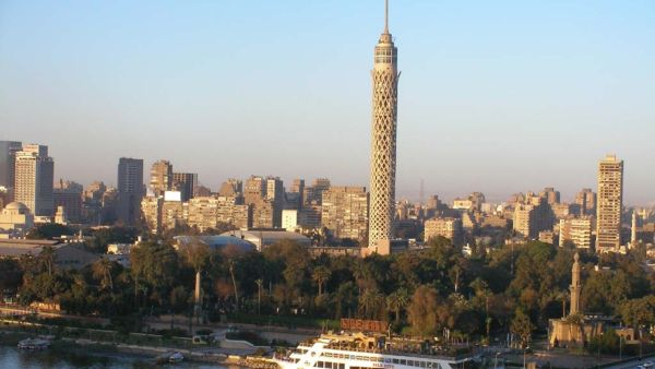 طبيب ومدرس.. لماذا يتحول أهل العلم في مصر إلى "قتلة"؟