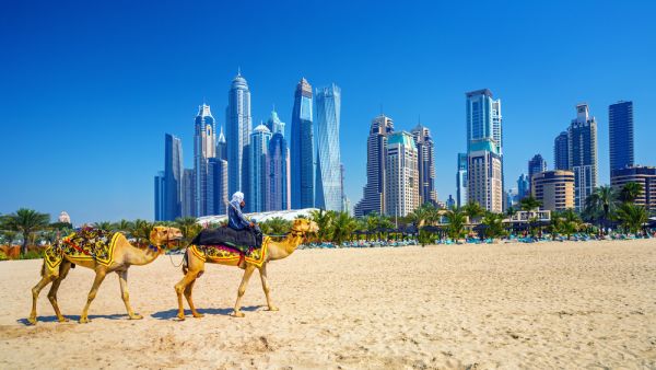 عروض كوميدية، وحفلات فنيّة، وخصومات صيفيّة (Shutterstock)