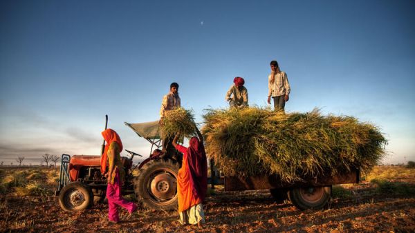 Muslim Innovators Help India’s Troubled Farmers