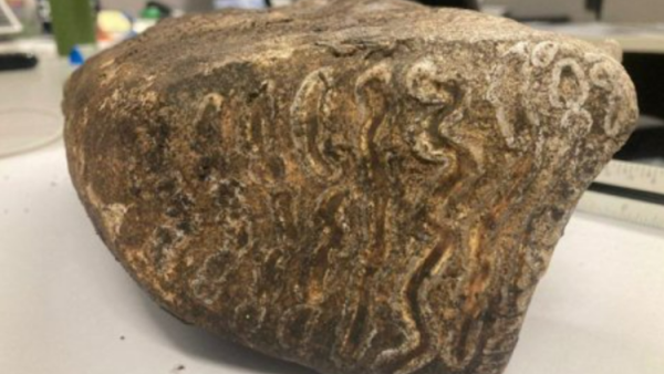 Woolly Mammoth Tooth Discovered at US Construction Site