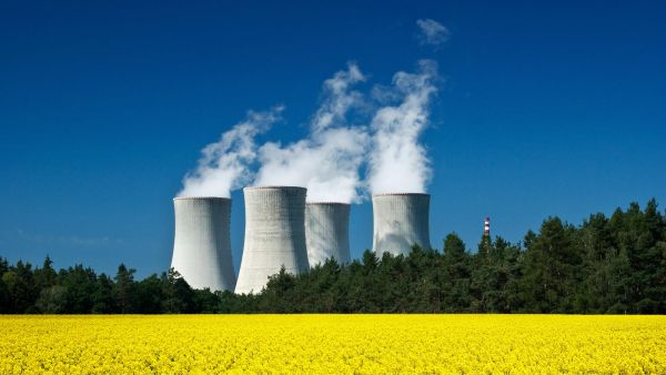 Green vs. Nuclear Energy: Which Option Is Better for MENA Countries?