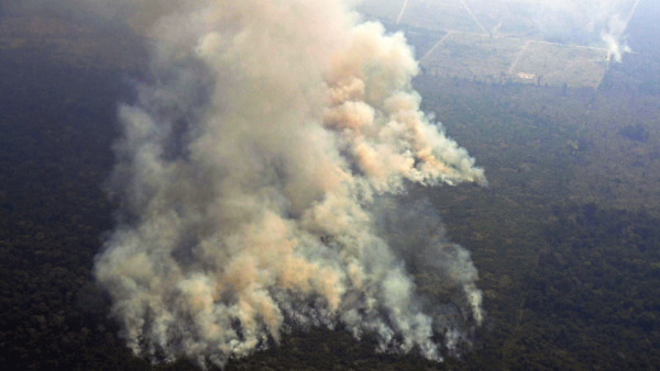 Satellites have recorded more than 41,000 fires in the Amazon region so far this year. 