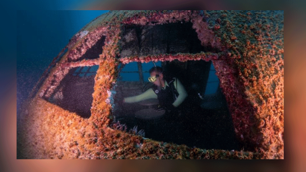 Prior to the opening, the park was inspected by a group of diving professionals, who ensured all safety requirements are fully met to guarantee a safe experience for the public.