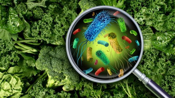 Startup of the Week: Uvera - Revolutionizing Food Safety, Putting an End to Food Waste