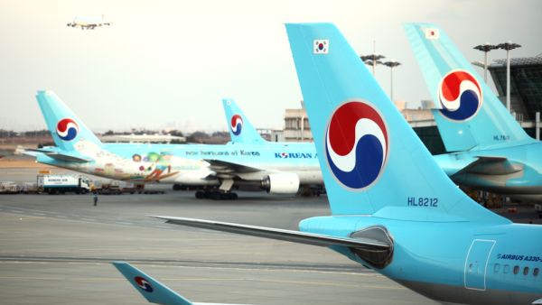 Korean Air, Asiana Mull Reopening More Routes to Carry Freight