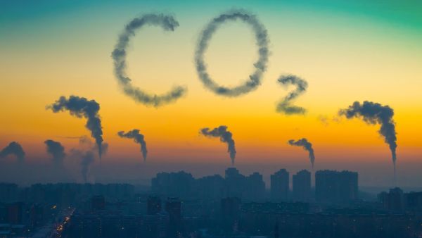 Firms Urged to Achieve Global Carbon Neutrality by 2050
