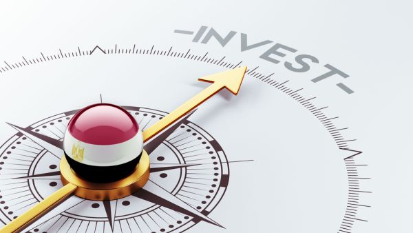 About 2,000 representatives of Egypt’s development partners, investors and high-level business figures from Egypt.