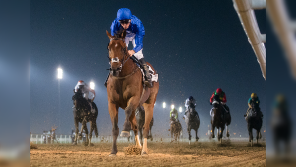 The UAE is home to some of the best equestrian clubs in the world, which have witnessed great growth and gained global appreciation. Dubai Racing Club and Dubai Equestrian Club set to host the Dubai Equestrian Procurement Forum on 23 October