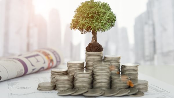 What is a SAFE? It's a financial instrument that simplifies Seed investment by serving as a right to purchase shares in a future priced round, subject to certain parameters set in advance.