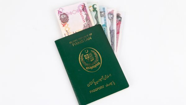 Welcoming the move, a number of Pakistani expats said that it was high time that such a step was taken by the Pakistan government.