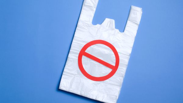 The order will regulate and phase out the use of plastic bags.