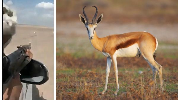 Screenshot // Twitter