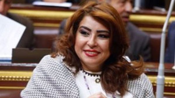 Ghada Agamy introduced a bill restricting behavior that she says is contrary to Egyptian culture