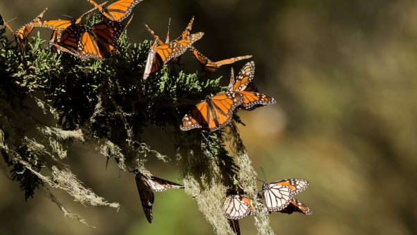 (Shutterstock/ File Photo)