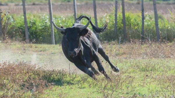 (Shutterstock/ File Photo)