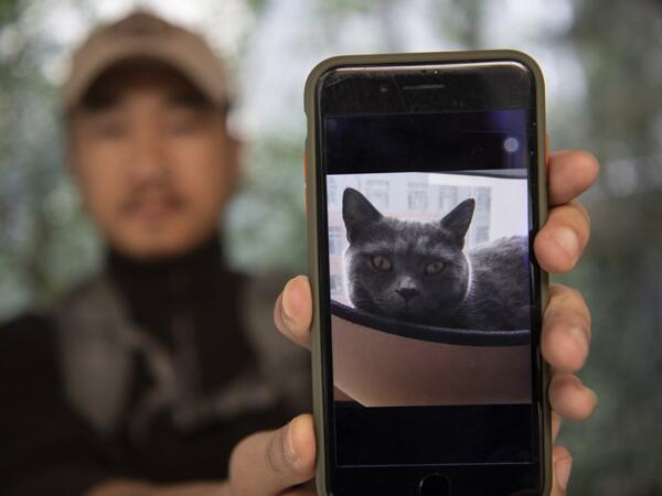 This photo taken on October 23, 2019 shows pet detective Sun Jinrong holding a phone with the picture of a missing cat in a residential compound in Beijing. Private sleuth Sun Jinrong brings heat detectors, tiny surveillance cameras, and a blowdart loaded with a tranquiliser to his search for one desperate client's missing loved one: A cat named Duoduo.  NOEL CELIS / AFP