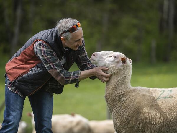 Ruslan Kozynko stands on a meadow of the "Frontiera Ranch" in the Masuria - polish lake region, May 15, 2020. The sheep and cows are in the meadow, the cheese is ripening in a room on the ground floor -- just the kind of scene attracting increasing numbers of Polish cityslickers away from the urban jungle. Wojtek RADWANSKI / AFP
