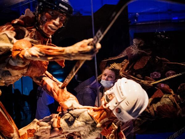 People visit the "Body Worlds", the anatomical art exhibition of plastinated human bodies