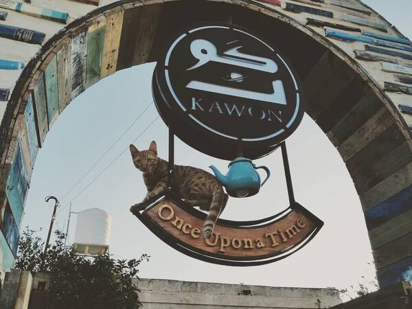 Kawon, a socially active bookstore and a cultural space in Madaba, has been promoting the reading culture since its start as an initiative of selling books on the streets since 2016.