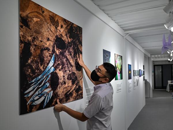 China's art exhibition