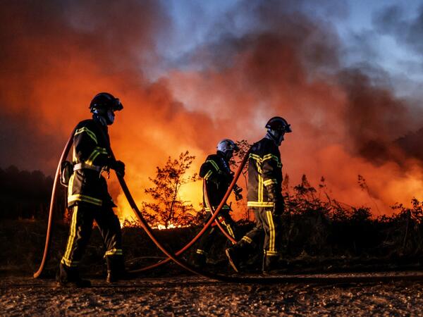 wildfires